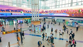 Walking Through History on Korea’s Liberation Day: From Independence Gate to Seoul Station
