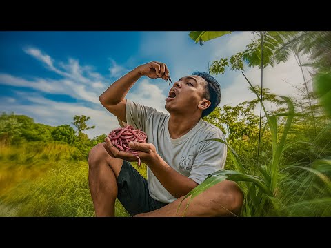 LAPAR TAK TERBENDUNG MAKAN CACING TANAH SAMPE HOEK MUNTAH!