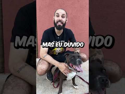 CACHORRO ROBÔ X CACHORRO REAL! #shorts