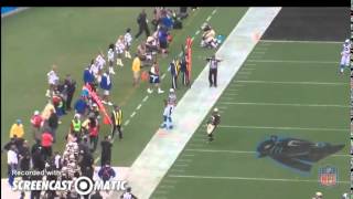 The Controversial No-Call on Cam Newton