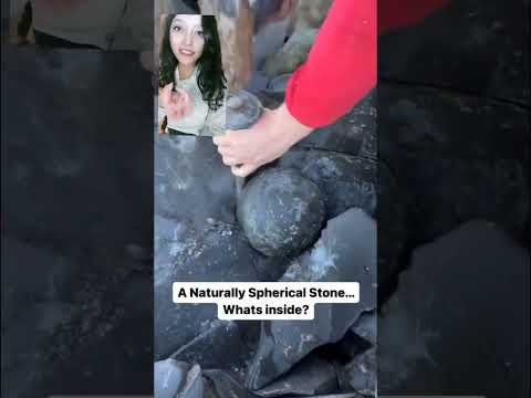 Una roca con sorpresa #fossils #reaccion