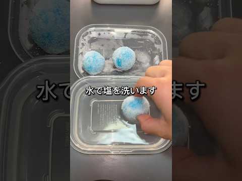 #地球グミ #asmr #グミ#カラスミ #検証#塩漬け#実験
