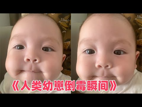盤點人類幼崽的翻車瞬間，既心疼又好笑#搞笑 #pets #funny #comedy #memes #熱門 #baby