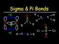 Understanding Sigma and Pi Bonds
