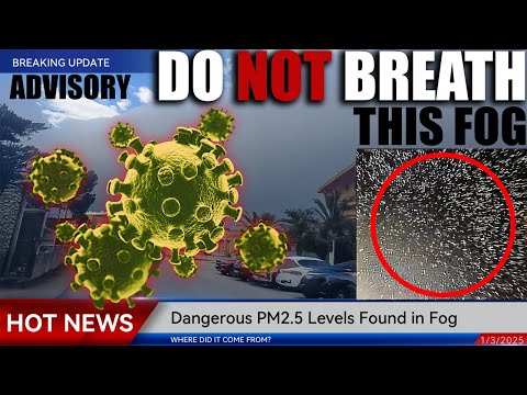 ⚠️ URGENT PSA Fog Health Hazard – Dangerous PM2 5 Levels Are Skyrocketing! Protect Yourself Now!