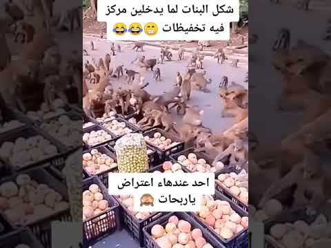 شكل البنات لما يدخلين مركز فيه تخفيظات😝 #اكسبلور #كامري #funny #محركات #ضحك #تحشي #لايك #تحشيش #متا