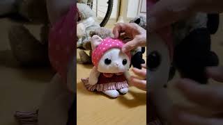 母に可愛がってもらうにゃあ　 #happy #かわいい #ぬいぐるみ