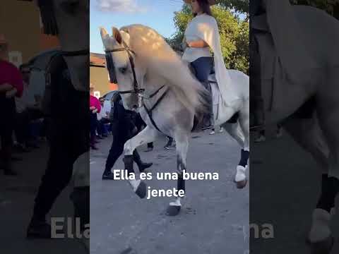 Qué bonito es lo bonito un saludo mi gente