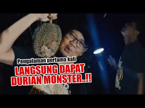 NIAT NGOBOR BURUNG MALAM HARI DI HUTAN, MALAH NEMU DURIAN MONSTER UJUNGNYA KABUR DIKEJAR ANJING LIAR