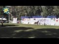 بالفيديو : البطولة الخامسة عشر لمسابقة جمال الخيول العربية 