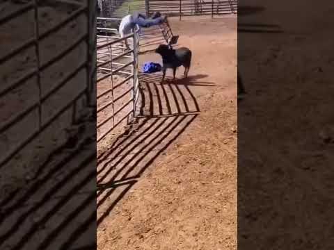 Arre con la que barre saludos mi gente #viral #santafeklan #funny #🤣🤣🤣#memes