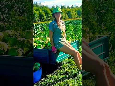 КАК ЛЮДИ ЖИВУТ В ДЕРЕВНЕ #деревня #хутор #огород