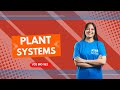 Plant Systems and Transpiration Concepts