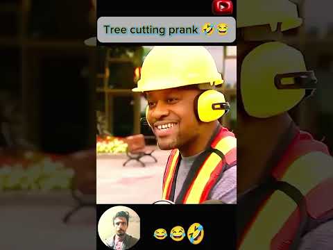 Funny tree cutting prank ๐ #funny #foryou #shorts #praank #funnyvideo