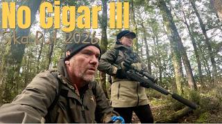 No Cigar III Sika Rut 2026