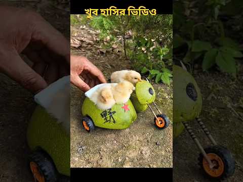 Chiki gari thake namai dance#short funny facts