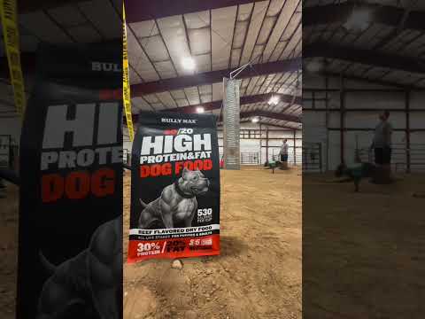 Hard working dogs use Bully Max #dogfood #bullymax #pitbulls