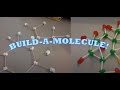 Build a Molecule Project Overview