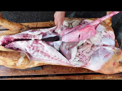 Роздєлка свинячої туші в домашніх умовах. Совєти мясника. Розробка свині.