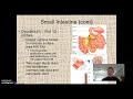 Exploring the Anatomy of the Digestive System: Part 2