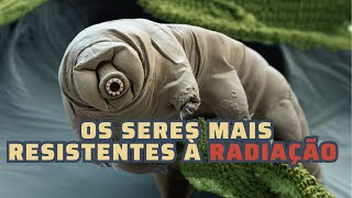 Os seres mais resistentes à radiação