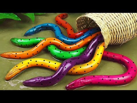 Stop Motion ASMR | Colorful KOi Underground Hunting For Egg Thieves Mud Survival Primitive Fishing