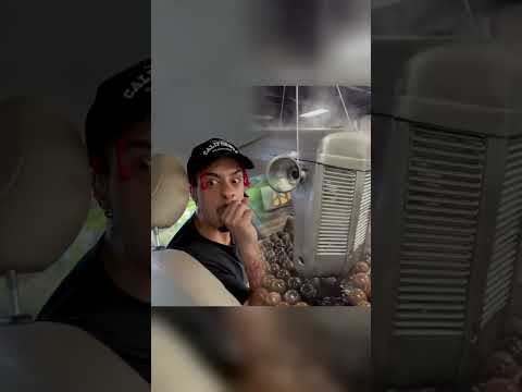 Quando você finge ser o que não é#shorts #youtubeshorts #trending #funny #viralvideo #youtube #fyp