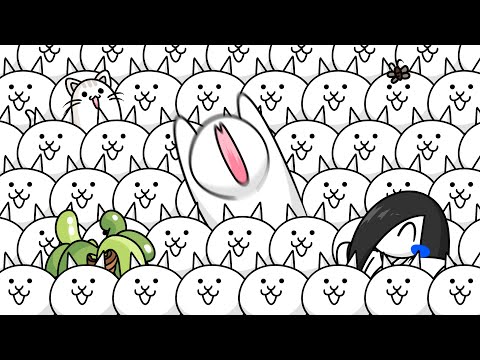 온 세상이 냥코다