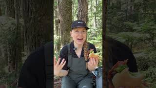 Eat lunch with me in the mountains  #hiking
