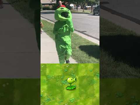 PVZ Plants in real life 🌱💥
