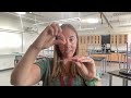 Effects of Salt Solutions on Cells