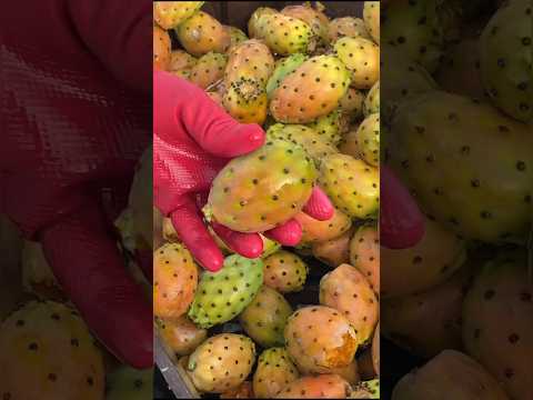 Juicy cactus fruits you like it let's enjoy our life #shorts