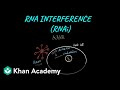 RNA Interference Mechanisms and Applications
