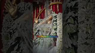 Bhasma Abhishekam #chidambaram #natarajar #temple #abhishekam #pooja #devotional #shiva #om #2026