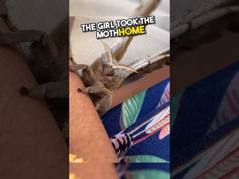 This kind girl rescues moth babies life?โค๏ธโ??
