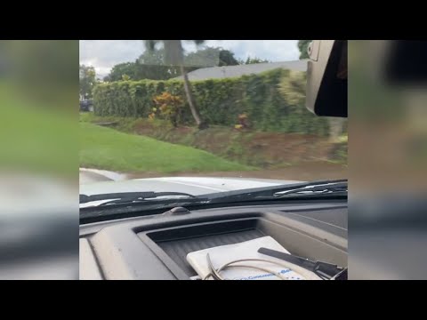 YouTube video thumbnail: ICE Raids on Kauai Results in 44 Arrests