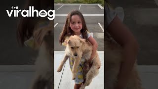 Daughter Adorably Determined To Keep Found Dog || ViralHog