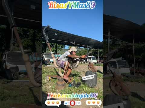 A PURO PULMÓN 🗣️🫁🤣