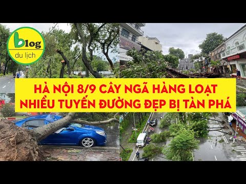 Hà Nội sau bão Yagi - Phố đi bộ tan tác, hàng trăm cây cổ thụ ngã ngổn ngang khắp đường