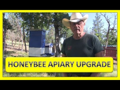 HONEYBEE APIARY UPGRADE
