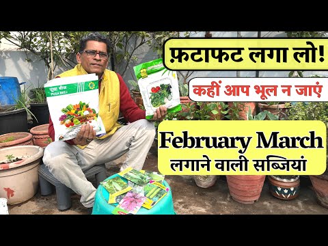 फ़टाफट लगा लो! कहीं आप भूल न जाएं | February March की गर्मी में लगाने वाली सब्जियां