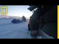Arctic Adventure Quiz