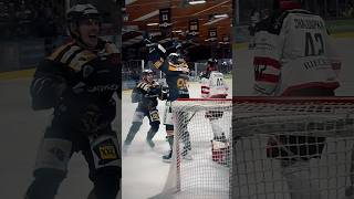 AEC-Sieg im ersten Finale 🏒🐏 - #Eishockey #RegionalligaNord #AdendorferEC #Lüneburg