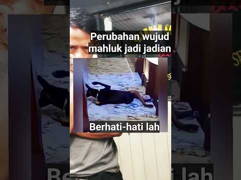 Saat anda memasuki ruang 4 dimensi #shorts