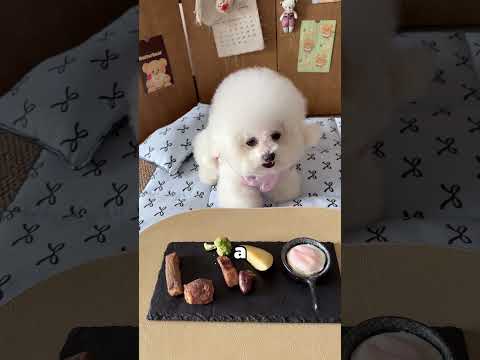 The Cutest Morning Routine