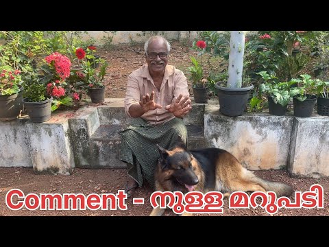 Comment - ലെ തെറ്റിദ്ധാരണ |LeoLaika|Chottuz #leo #laika #reaction