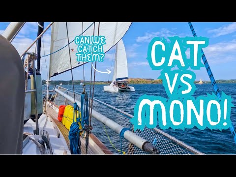 OFF & RACING! Can our OLD BLUE WATER Sailboat WIN?? Sailing Regatta in Madagascar! Ep 383