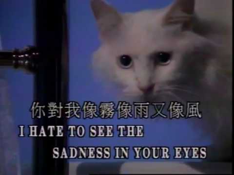 Sadness In Your Eyes – Video Karaoke (Fitto)