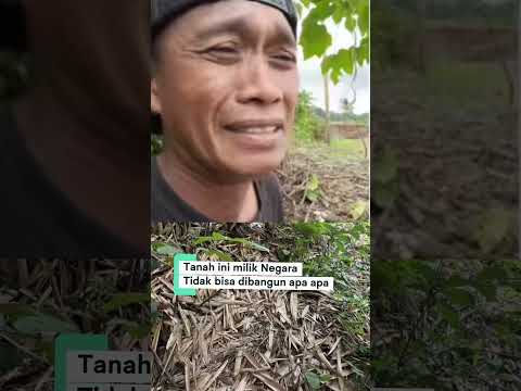 Tanah milik negara tak bisa dibangun apa apa #ngakak #fyp #reaction DNR MINSEL CHANEL