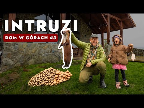 Grzyby w domu i inwazja gryzoni  - Dom w górach #3